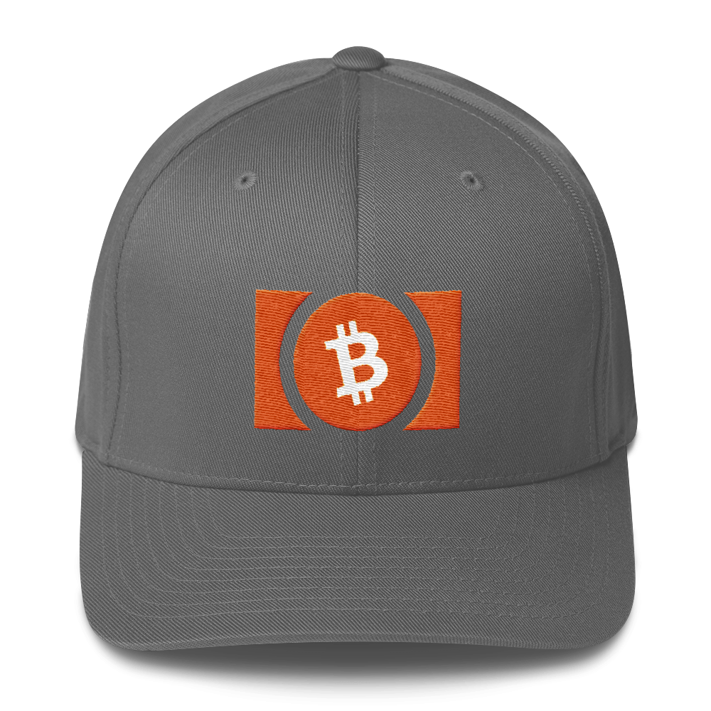 Bitcoin Cash Flexfit Cap  zeroconfs Grey S/M 