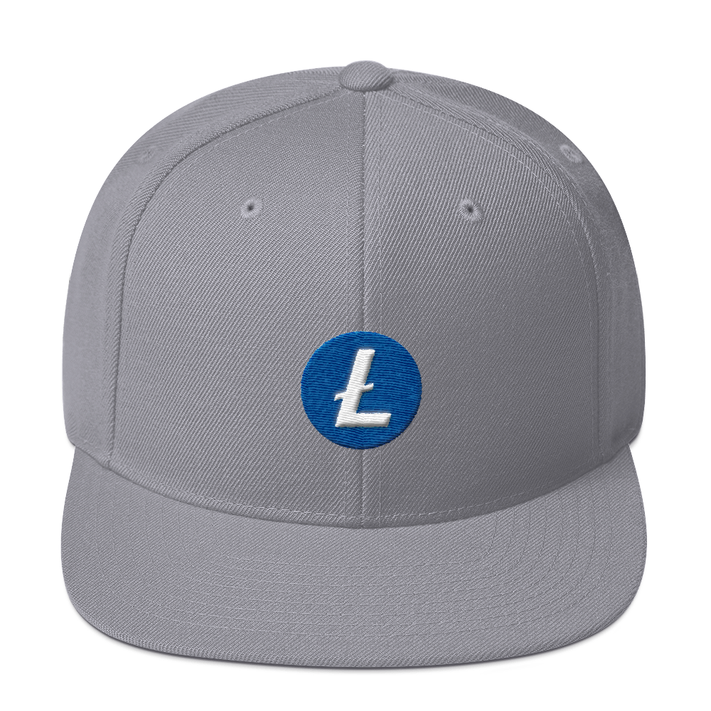 Litecoin Snapback Hat  zeroconfs Silver  