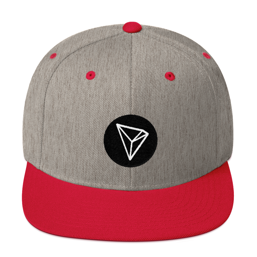 Tron Snapback Hat  zeroconfs Heather Grey/ Red  