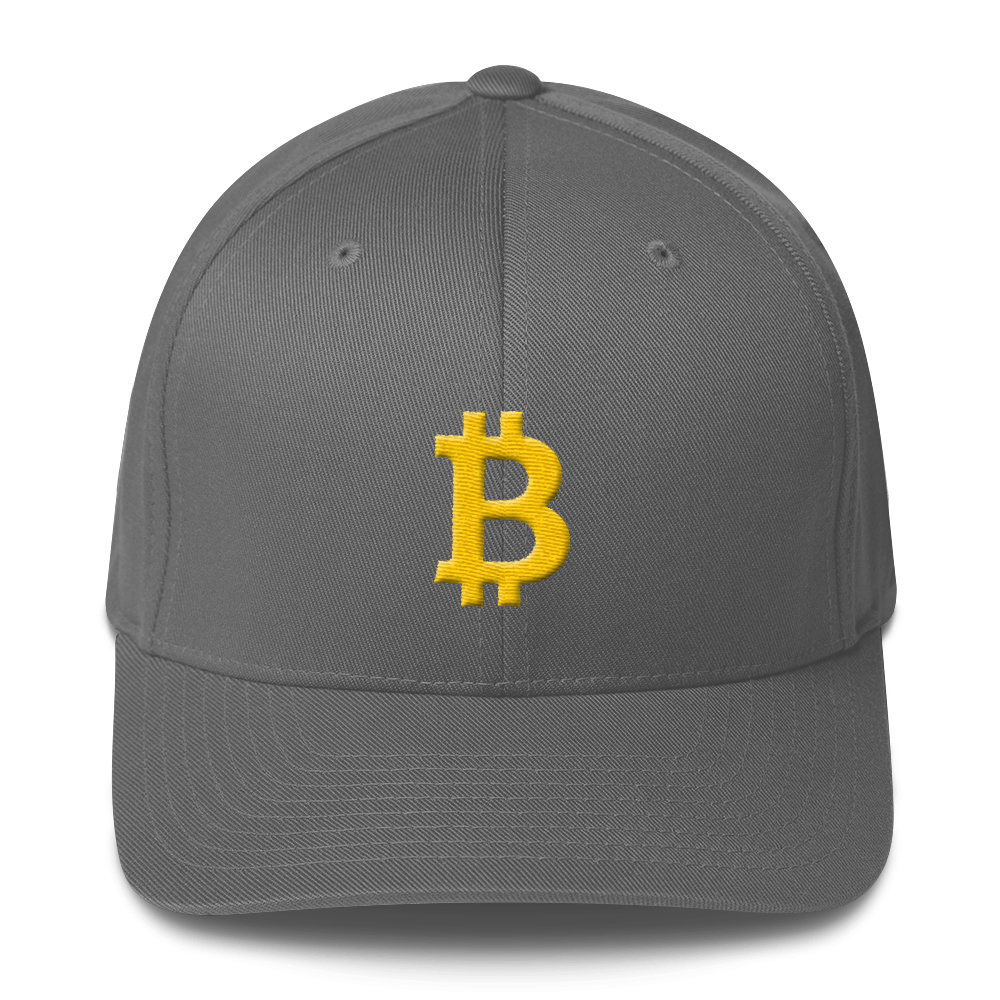 Bitcoin B Flexfit Cap  zeroconfs Grey S/M 