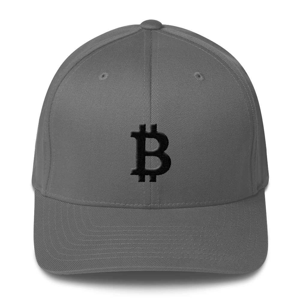 Bitcoin Blacknet SE Flexfit Cap  zeroconfs Grey S/M 