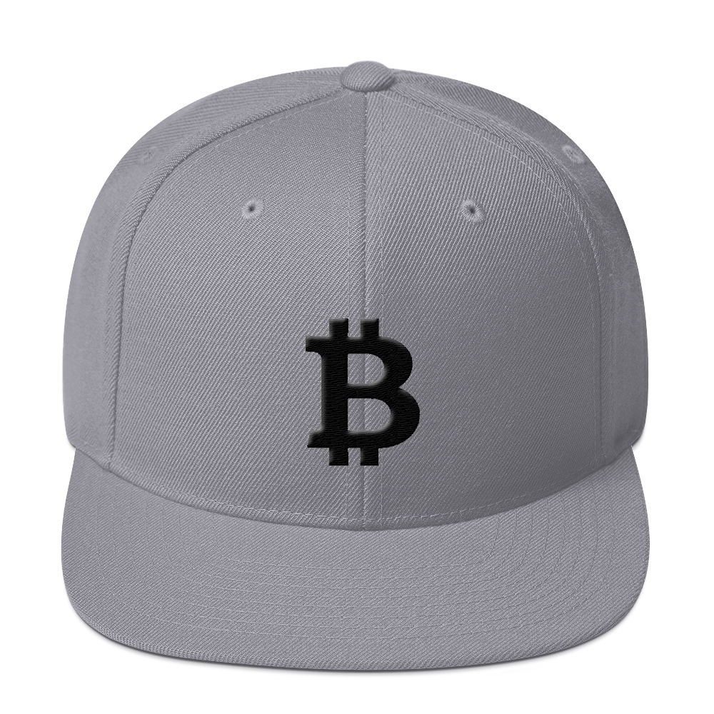 Bitcoin Blacknet SE Snapback Hat  zeroconfs Silver  