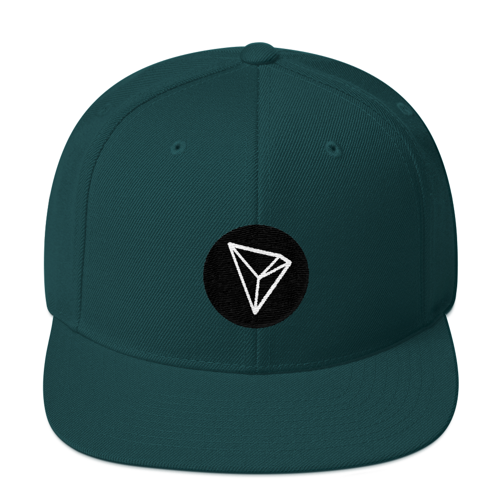 Tron Snapback Hat  zeroconfs Spruce  